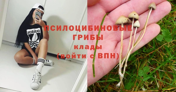 тгк Осташков