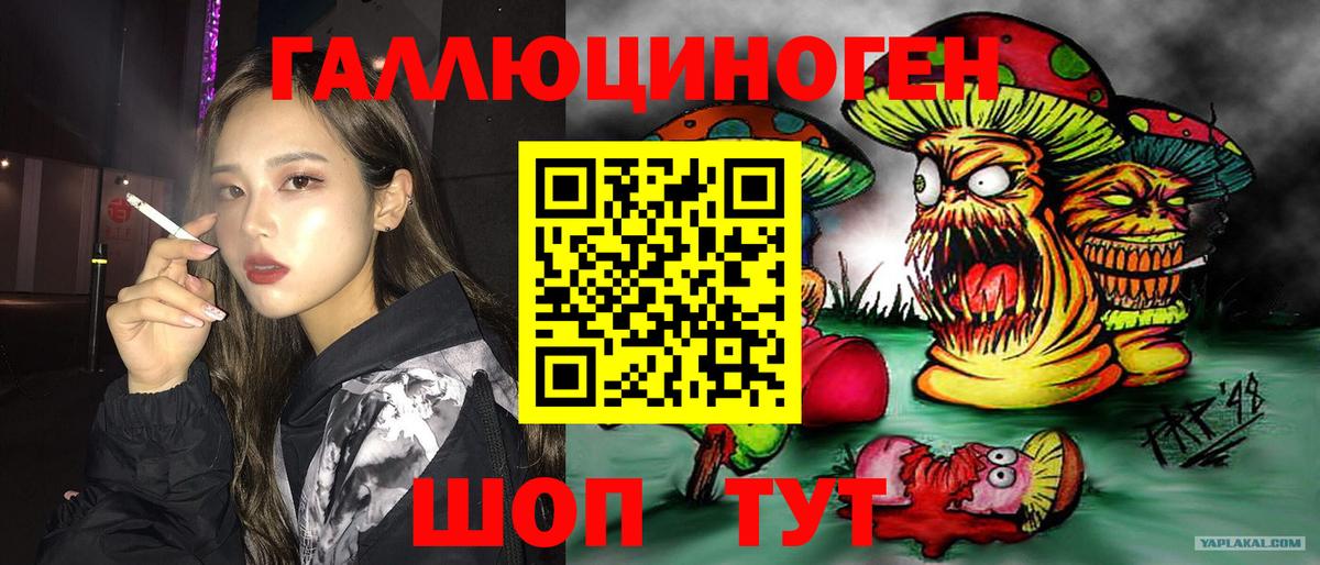 Псилоцибиновые грибы прущие грибы Фролово