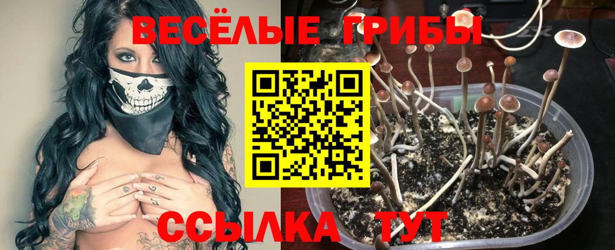 Фролово  Псилоцибиновые грибы Magic Shrooms  Вход с VPN 
